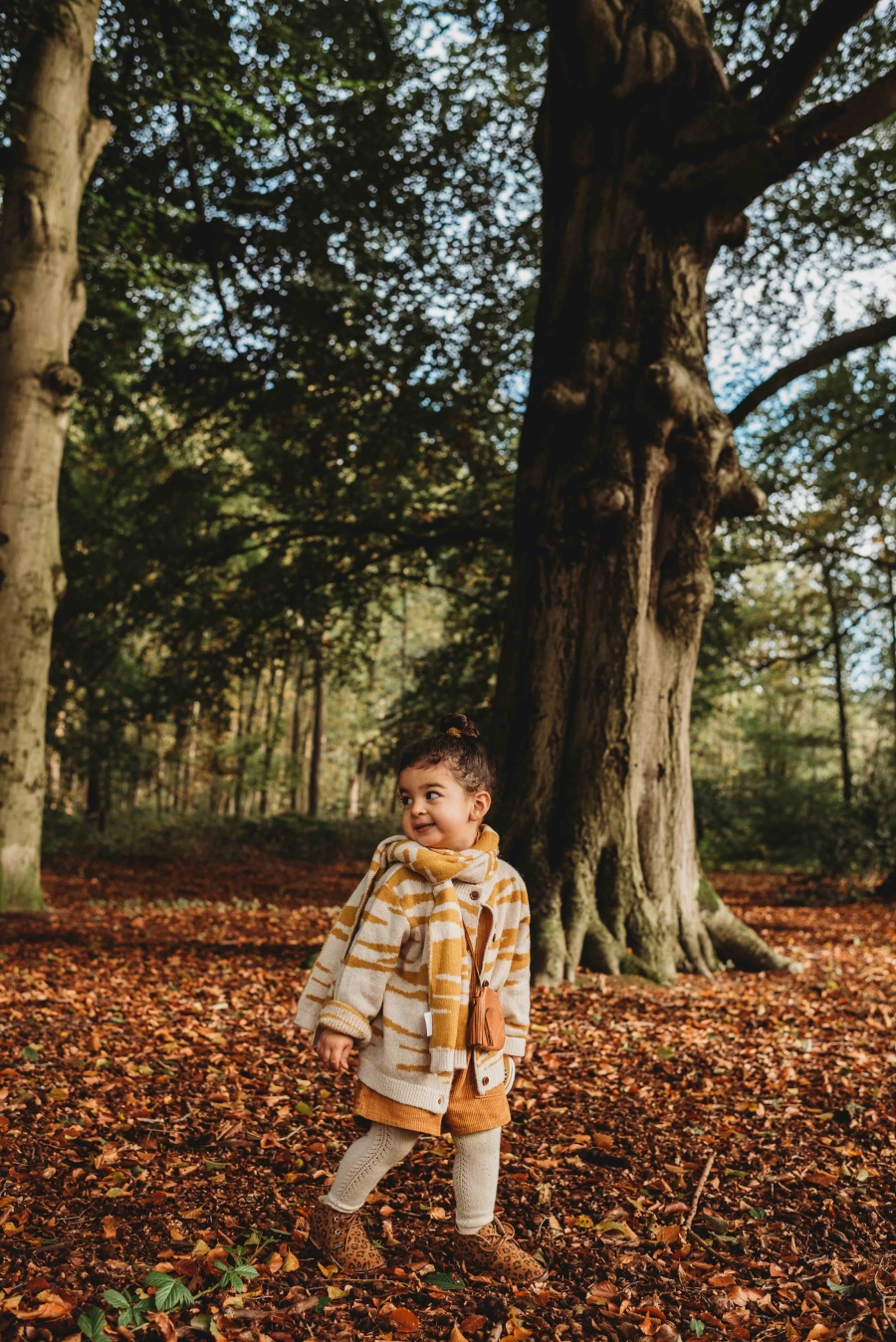 FIH Fotografie » Magische bos shoot